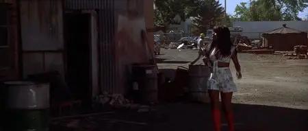 Thunderbolt and Lightfoot (1974)