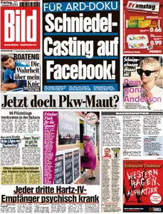 Bild Zeitung vom 01 November 2013
