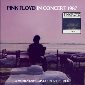 Pink Floyd - In Concert 1987 A Momentary Lapse Of Reason Tour (2021)
