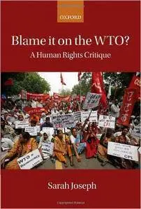 Blame it on the WTO?: A Human Rights Critique