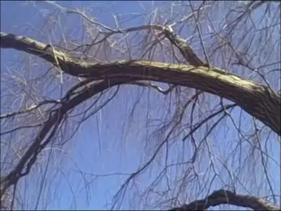 The End of Cruising (2013)