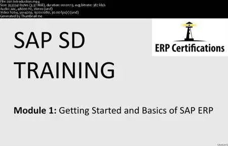 SAP SD Training: Getting Started and Basics of SAP ERP
