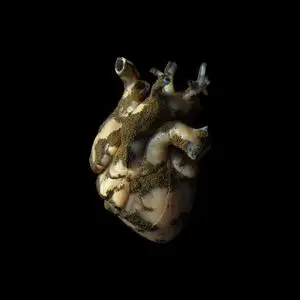 Highasakite - Uranium Heart (2019)