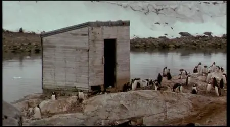 L'Arche et les Déluges [DVDrip] 1993