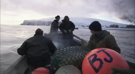 (Arte) Les enfants de la baleine (2013)