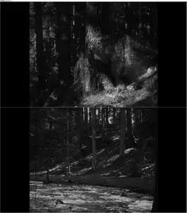 Early Women Filmmakers (2017) [Disc 4/4]
