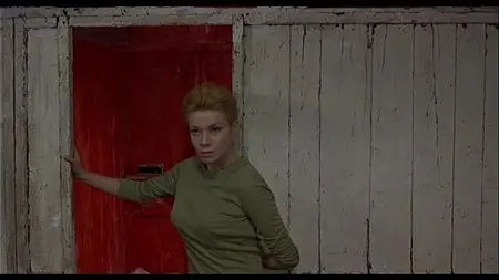 The Red Desert (1964)