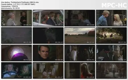 The Watcher in the Woods (1980)