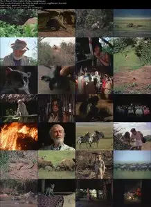 A Tale of Africa (1980)