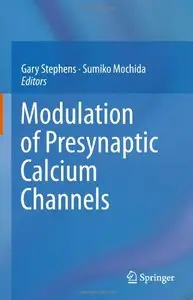 Modulation of Presynaptic Calcium Channels 