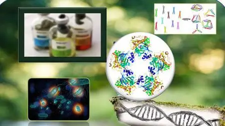 Molecular Biology And Biotechnology Principles