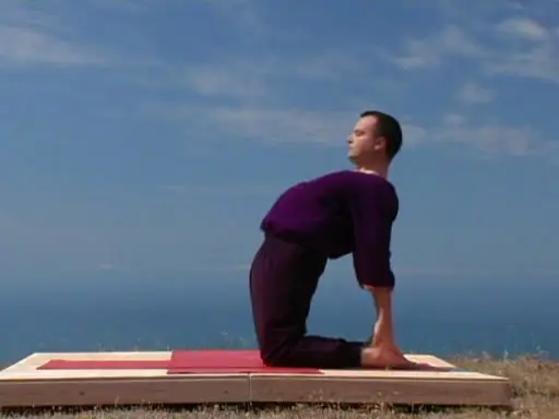 Introduction to Universal Yoga