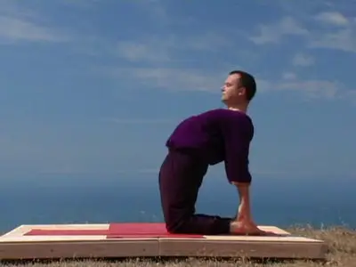 Introduction to Universal Yoga