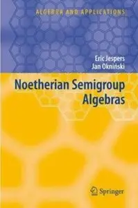 Noetherian Semigroup Algebras (Algebra and Applications) by Jan Okninski [Repost]