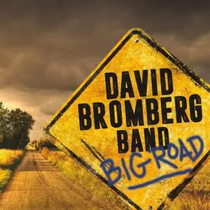 David Bromberg Band - Big Road (2020) [Official Digital Download 24/88]