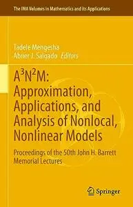 A³N²M: Approximation, Applications, and Analysis of Nonlocal, Nonlinear Models