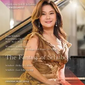 Hai-Kyung Suh - The Fantasy of Schubert (2024) [Official Digital Download 24/96]