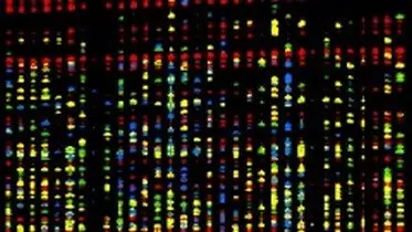 The Human Genome - James Watson