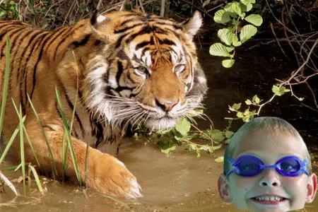 Photochop Chop Photos To Make Crazy Pics 1.0 iPhone iPod Touch