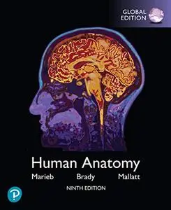 Human Anatomy, Global Edition, 9th  Edition