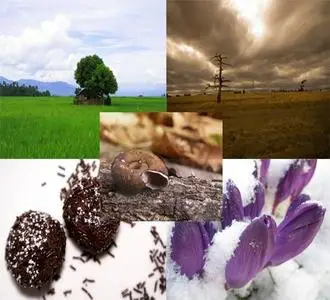 HQ Special Wallpapers Pack - Vol 1