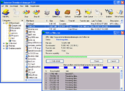 Portable Internet Download Manager v5.04