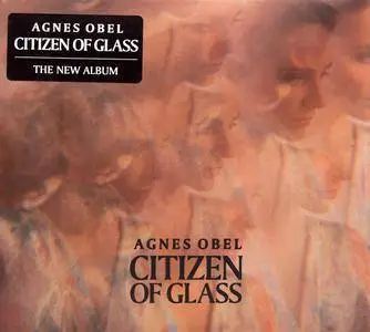 Agnes Obel - Citizen of Glass (2016)