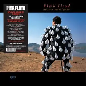 Pink Floyd - Delicate Sound Of Thunder (1988/2017) [2LP, Remastered, 180 Gram, DSD128]