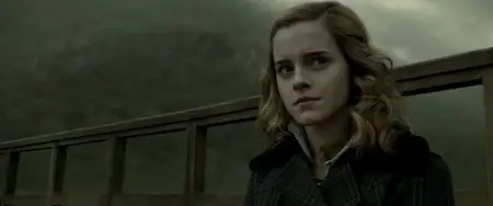 Harry Potter and the Half-Blood Prince (2009)