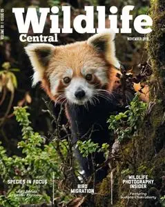 Wildlife Central - November 2018