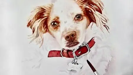 Realistic Beginning Watercolors: Painting A Dog