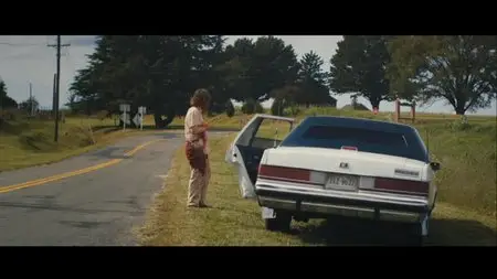 Blue Ruin (2013)