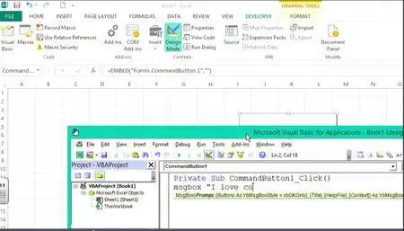 Excel VBA and Macros programming for Absolute Beginners