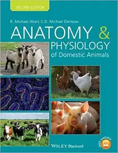 Anatomy and Physiology of Domestic Animals