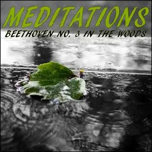 «Meditations – Beethoven No. 3 in the Woods» by LowApps Studios