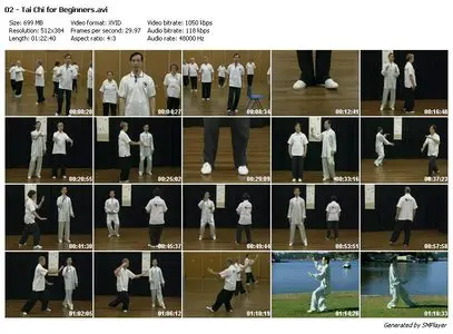 Tai Chi for Beginners