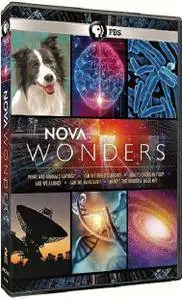 PBS - NOVA Wonders: What's the Universe Made of? (2018)