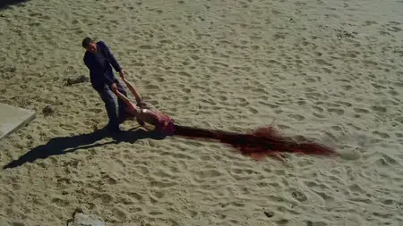 Sand Sharks (2011)