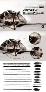10 Animal Fur Brushes Procreate