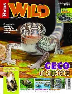 Focus Wild - giugno 2018