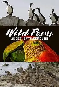 NG. - Wild Peru: Andes Battleground: Wild Peruvian Coast (2018)