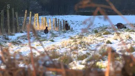 CH5. - Our Big Yorkshire Christmas (2022)