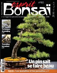 Esprit Bonsai - Février-Mars 2016