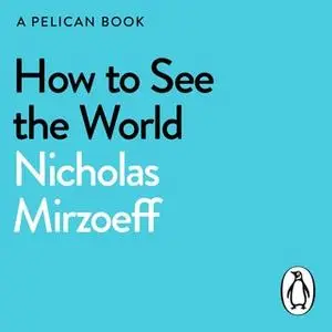 «How to See the World» by Nicholas Mirzoeff