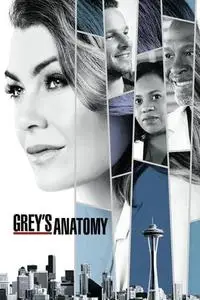 Grey's Anatomy S15E24