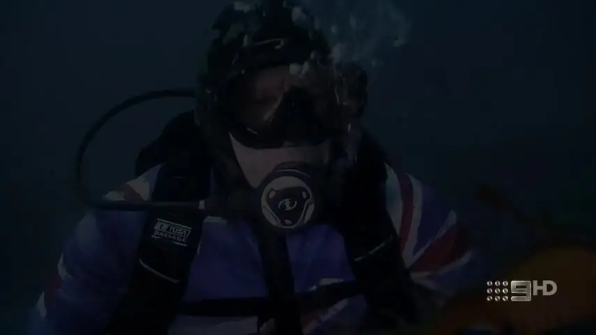 The Wildlife Man Featuring David Ireland Australian Safari (2015)