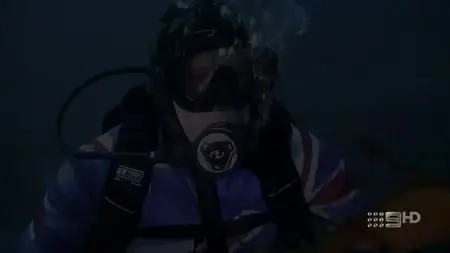 The Wildlife Man Featuring David Ireland Australian Safari (2015)