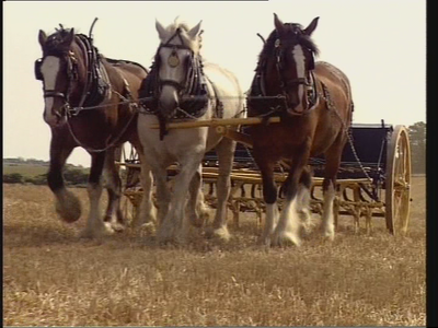 30 Years of the Great Dorset Steam Fair (1969–1999) [DVD9]