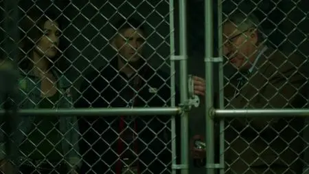 Stumptown S01E11