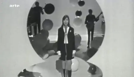 (Arte) Françoise Hardy, tant de belles choses (2010)